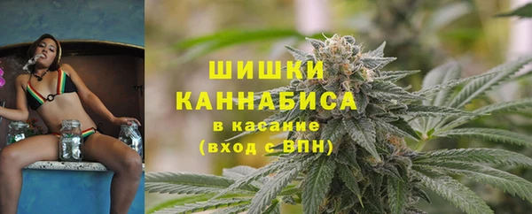 крисы Новый Уренгой
