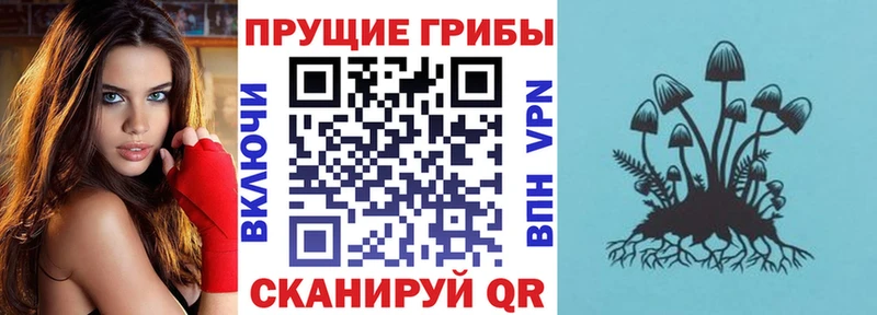 Галлюциногенные грибы прущие грибы  гидра вход  Грозный 