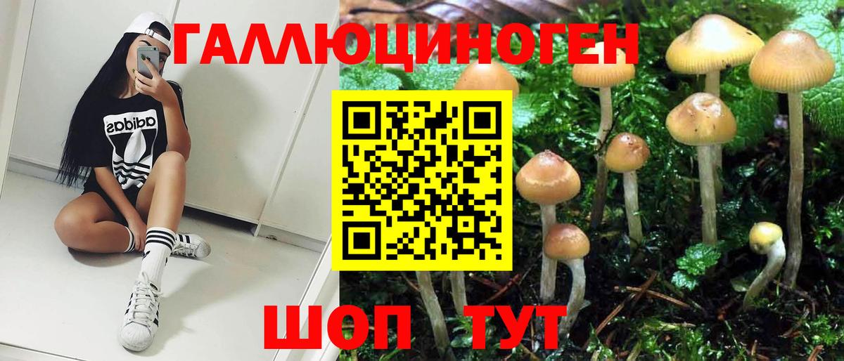 Псилоцибиновые грибы MAGIC MUSHROOMS Грозный