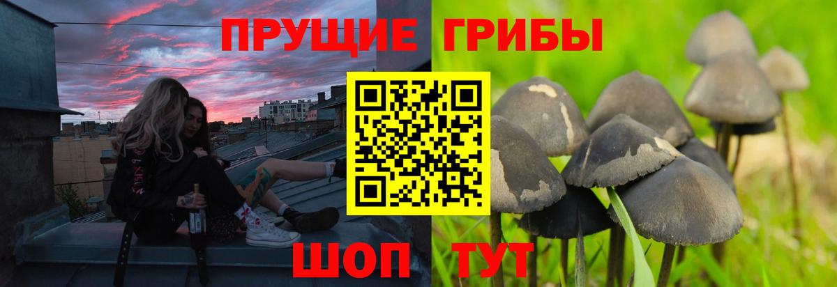 Грозный  где можно купить наркотик  Вход с VPN  Псилоцибиновые грибы Magic Shrooms 