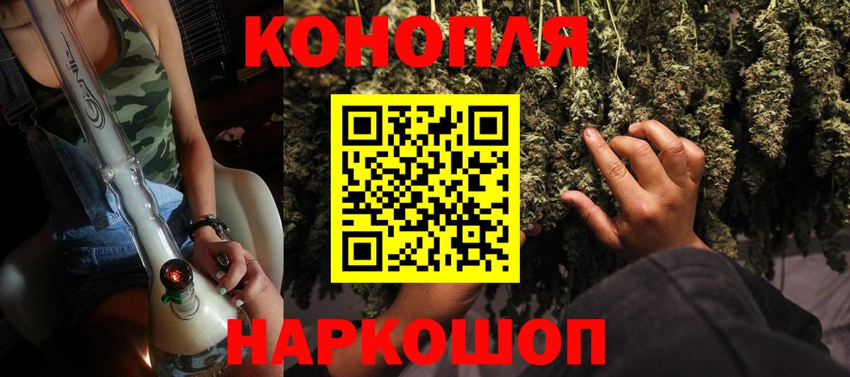 Конопля OG Kush Грозный